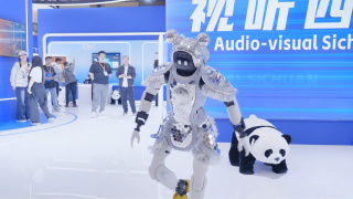 密挑视频